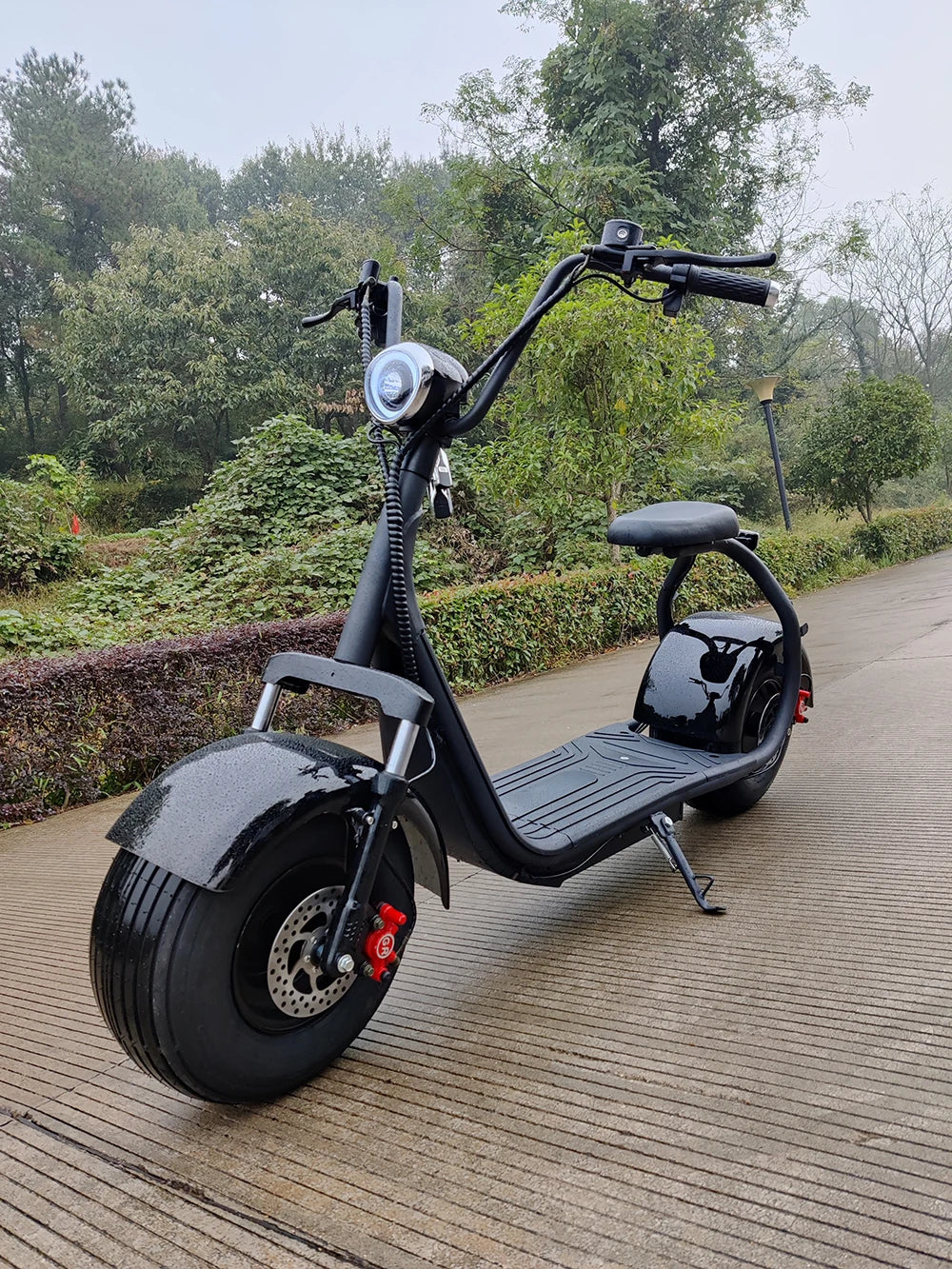 Two Wheels Big Tire Trike Adult Tricycle