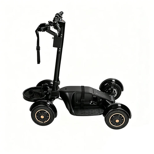 2000W Electric Golf Cart 48V LG20Ah Lithium Golf Buggy 3 Speed Aluminum
