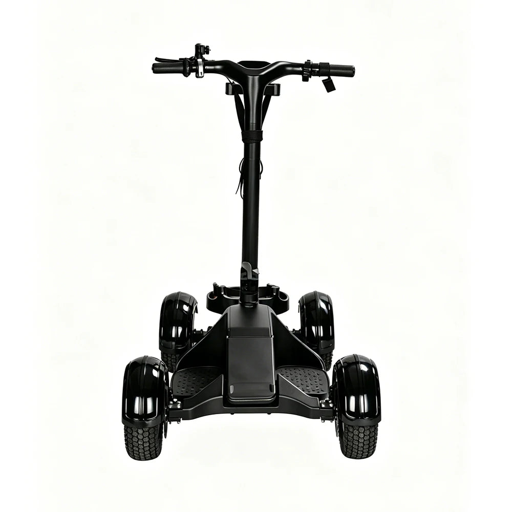 2000W Electric Golf Cart 48V LG20Ah Lithium Golf Buggy 3 Speed Aluminum