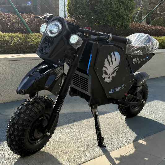 10000W Dual Motor