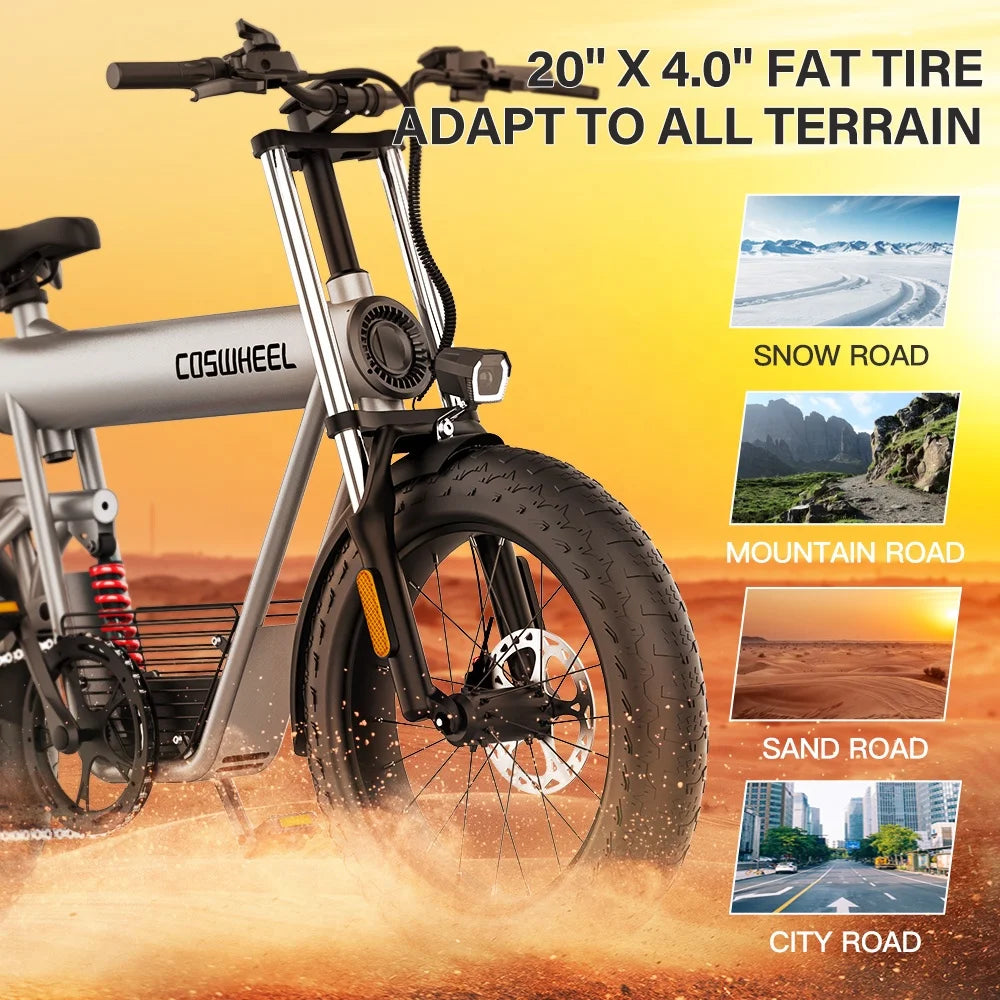COSWHEEL T20 Electric Bike Wholesale Price 1000W 1500W