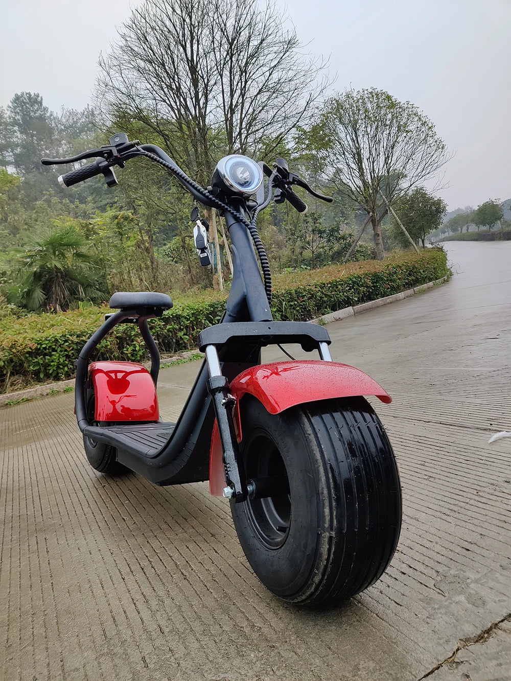 Two Wheels Big Tire Trike Adult Tricycle