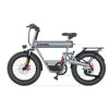 COSWHEEL T20 Electric Bike Wholesale Price 1000W 1500W