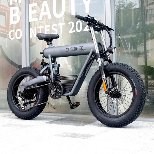 COSWHEEL T20 Electric Bike Wholesale Price 1000W 1500W
