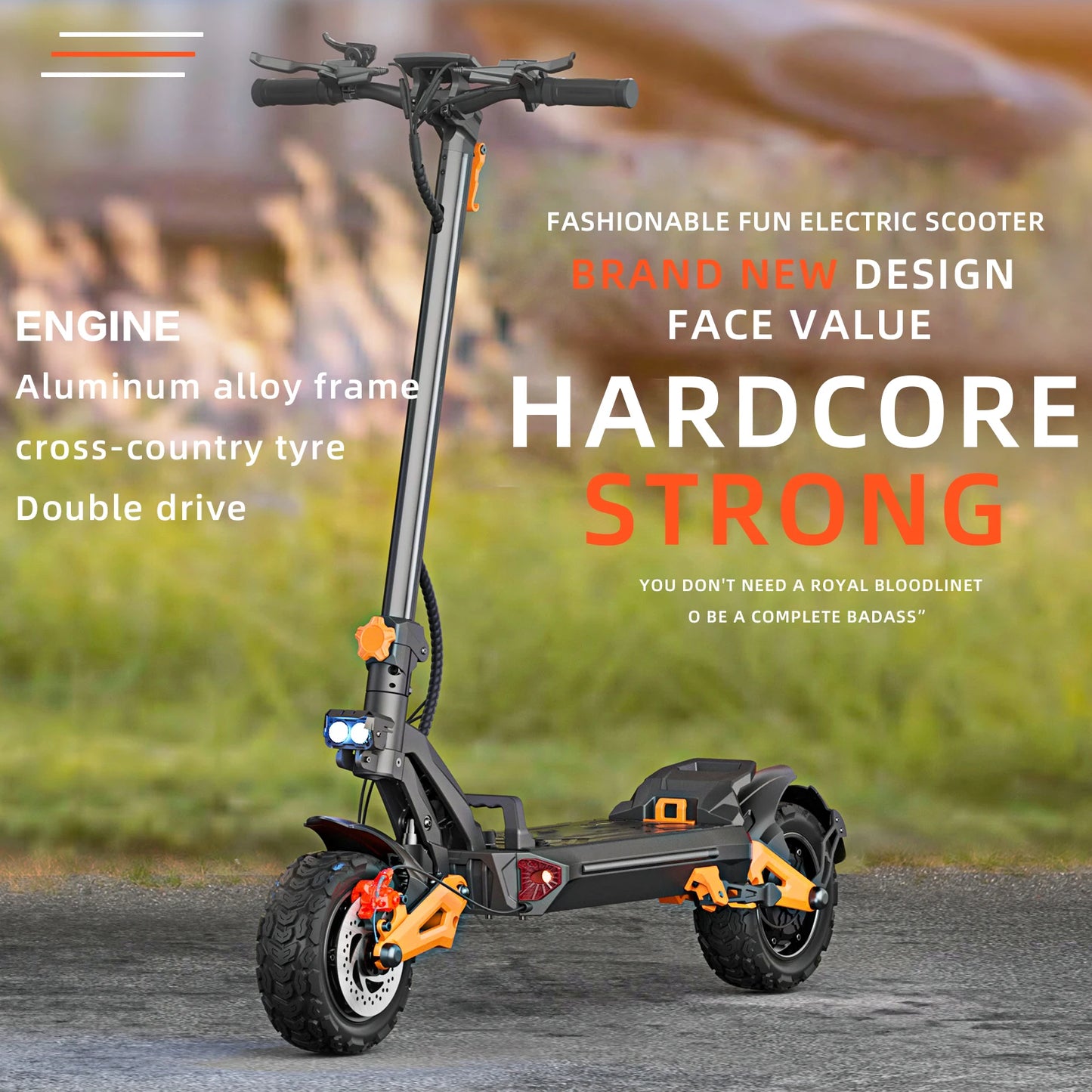 Support Custom Dual 3000W Powerful