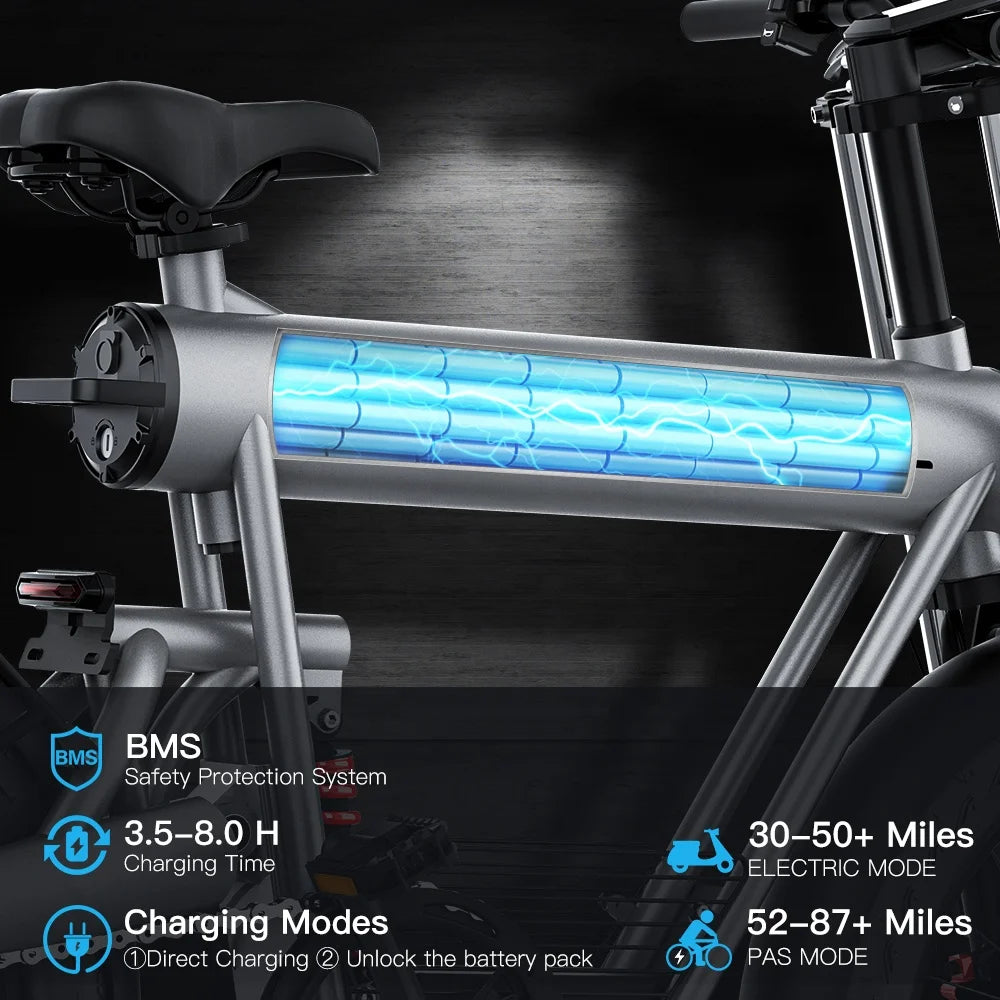 COSWHEEL T20 Electric Bike Wholesale Price 1000W 1500W