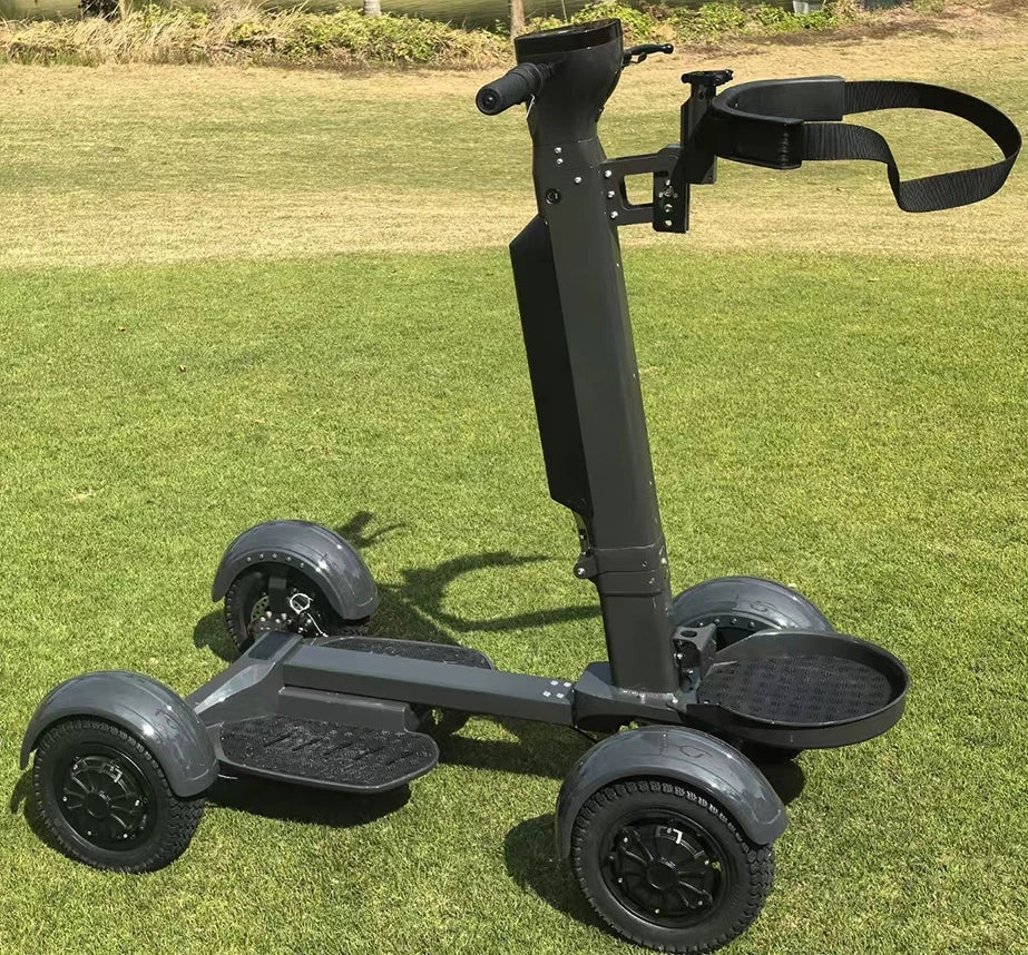 4 Wheel Customizable Electric Golf Cart 48V Battery Electric